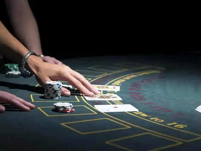 ck333 casino